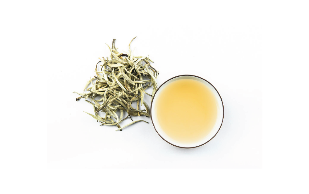 White Tea - Complete Information Including Health Benefits, Selection
